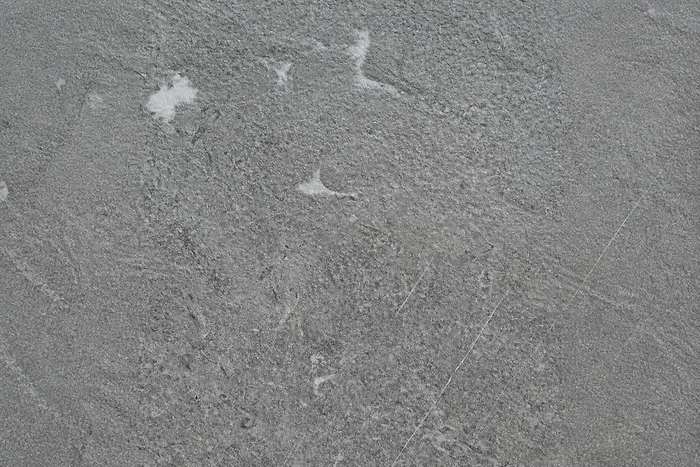PVC Paneel Beton Grau Struktur Detailaufnahme