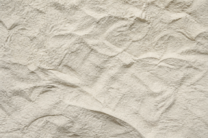 Steinpaneel Naturstein Beige Detailaufnahme
